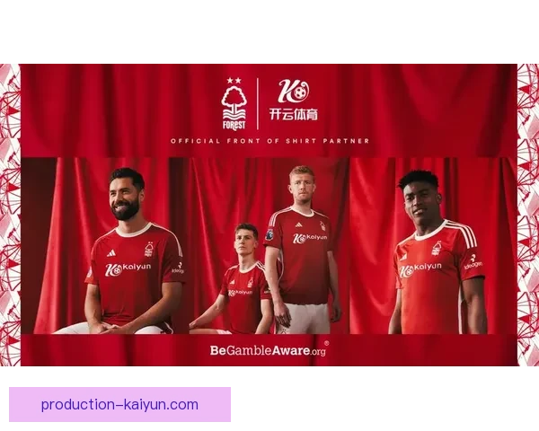 开云体育app全新体验指南助你轻松掌握赛事资讯与运动互动