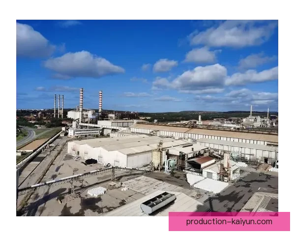 斯托克城足球俱乐部的辉煌历程与未来发展展望